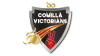 Comilla Victorians