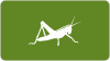 Zurich Crickets
