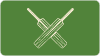 Baggy Blues Cricket Club