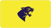 Black Panthers