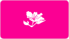 Bauhinia Stars Women