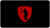 Sher-e-Punjab