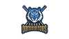 Dhaka Leopards