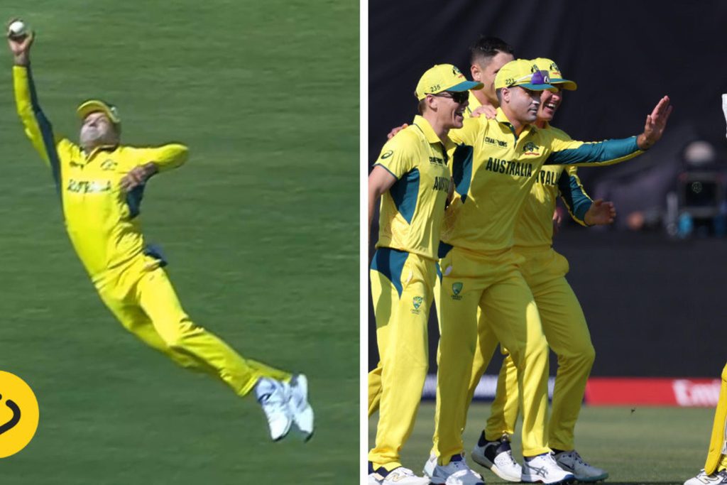 Watch: Alex Carey dives full-length to take one-handed catch at mid-on