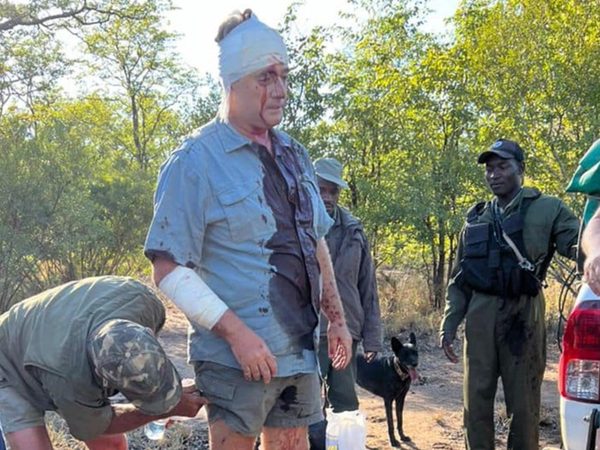 decade-after-eight-foot-crocodile-guy-whittall-survives-leopard-attack.Click to read full article.