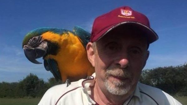 parrot-stops-play-in-east-midlands-club-match.Click to read full article.