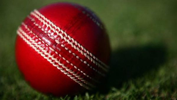 disease-specialist-deems-playing-cricket-low-risk-activity-for-spreading-coronavirus.Click to read full article.