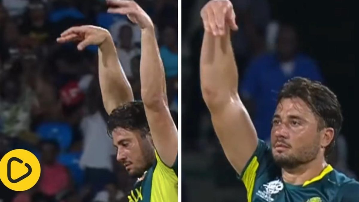 Marcus Stoinis celebrates after dismissing Rahmanullah Gurbaz