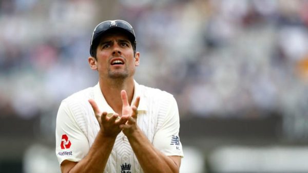 well-looking-employment-cook.Click to read full article.