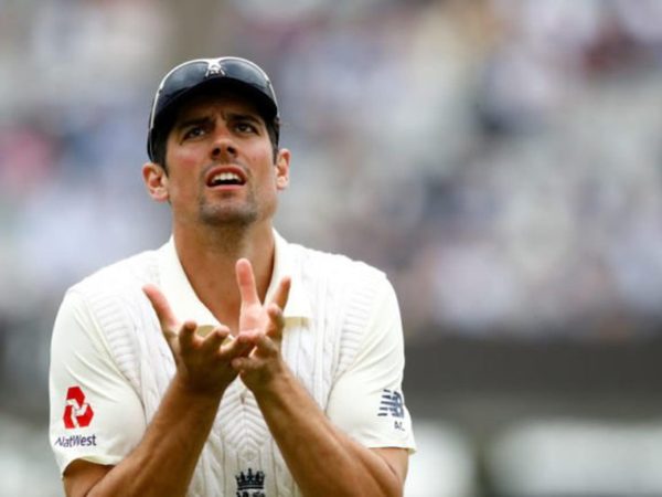 well-looking-employment-cook.Click to read full article.