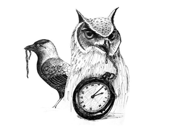 club-cricket-ideal-start-and-end-time.Click to read full article.