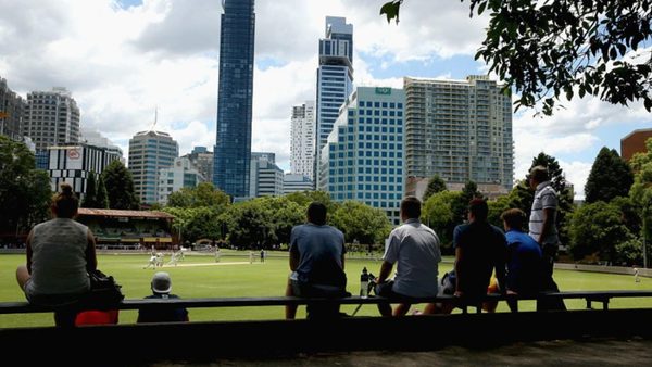 grade-cricketer-tea-no-sympathy-extract.Click to read full article.