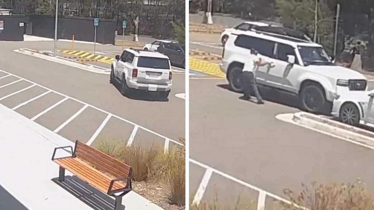 Man crashes car trying to get photo with Sam Konstas