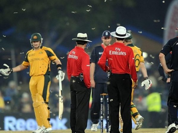 cricket-and-other-insects-a-list-of-bug-invasions-on-the-cricket-field.Click to read full article.