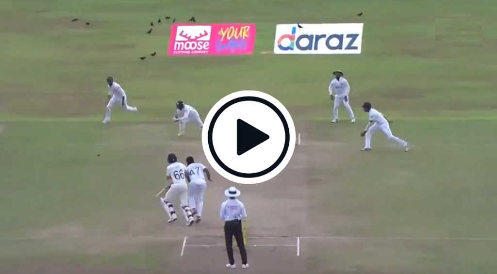 Watch: ‘Impeded’ Joe Root run out after collision with bowler
