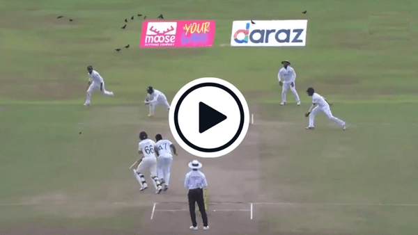 watch-impeded-joe-root-run-out-after-collision-with-bowler.Click to read full article.
