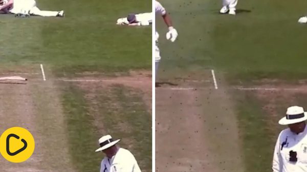 watch-county-cricketers-forced-to-duck-and-cover-as-swarm-of-bees-stops-play.Click to read full article.