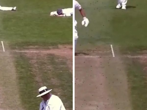 watch-county-cricketers-forced-to-duck-and-cover-as-swarm-of-bees-stops-play.Click to read full article.