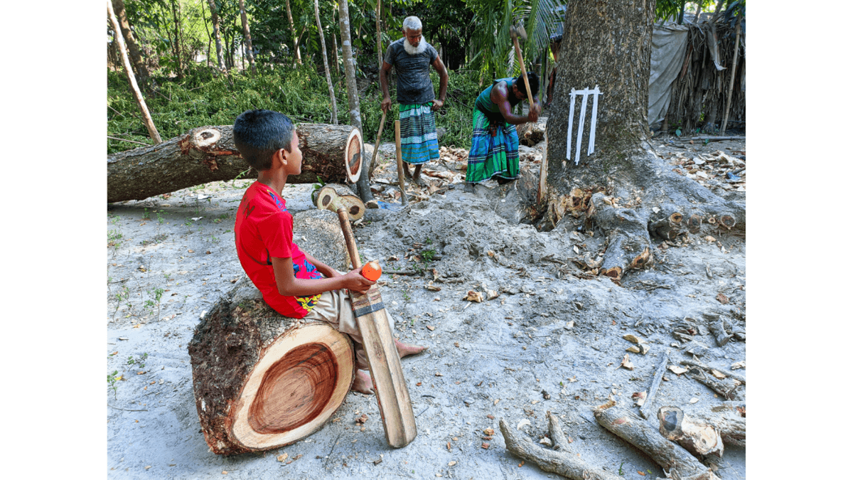 At Mymensingh in northern Bangladesh, men hack at a tree used as a rough- and-ready wicket, making a game of cricket difficult for Usman and friends.
