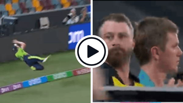 watch-outrageous-athleticism-irelands-big-quick-completes-astonishing-leaping-six-save.Click to read full article.