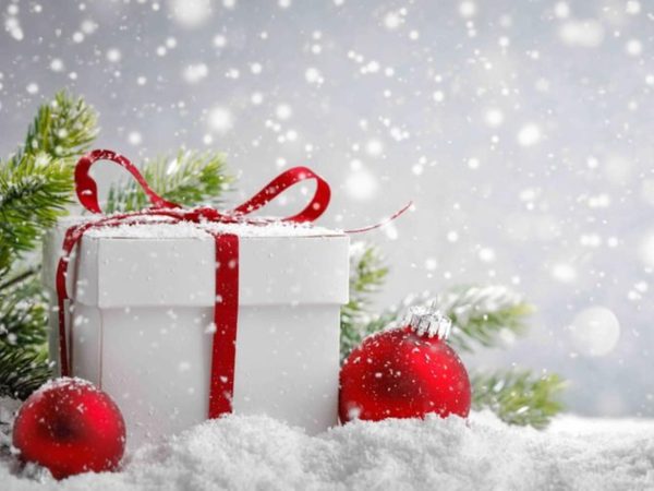 2018-christmas-gifts-cricket.Click to read full article.