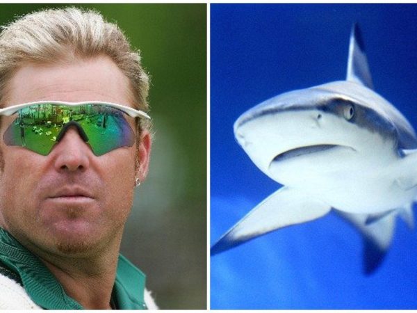 matthew-hayden-explains-the-great-australians-banter-styles.Click to read full article.