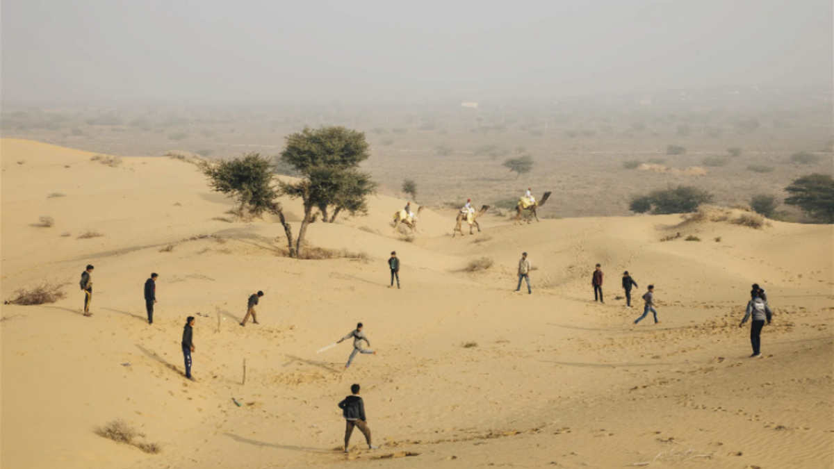 2020 Wisden Photograph of the Year