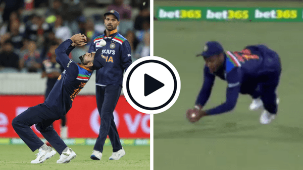 watch-samson-shows-kohli-how-its-done-with-excellent-outfield-catch.Click to read full article.
