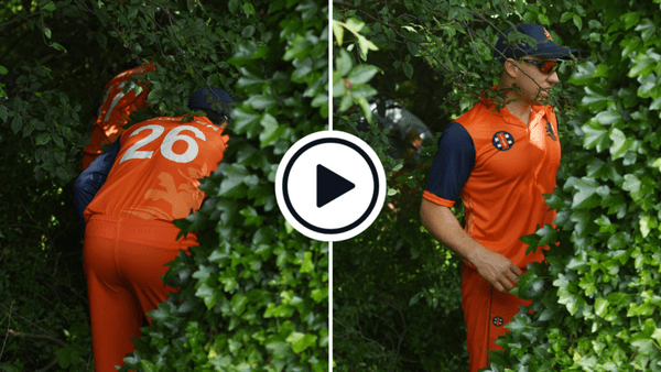 watch-the-netherlands-players-search-for-cricket-ball-in-the-trees-after-dawid-malan-six.Click to read full article.