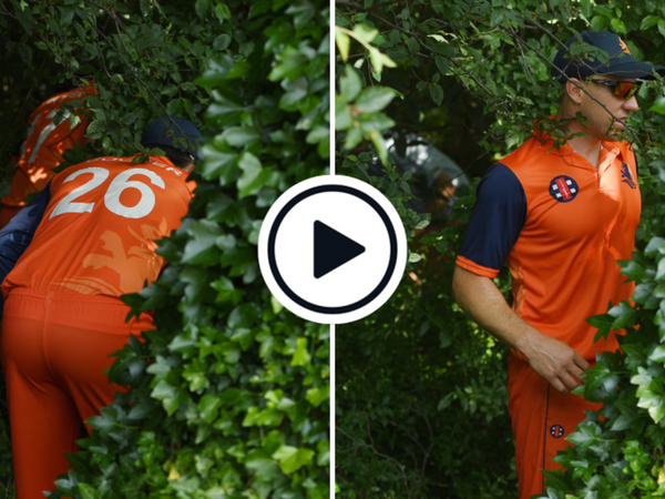 watch-the-netherlands-players-search-for-cricket-ball-in-the-trees-after-dawid-malan-six.Click to read full article.