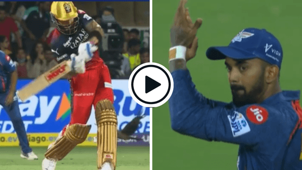 watch-virat-kohli-imperiously-short-arm-jabs-92mph-mark-wood-over-long-on-in-stunning-powerplay-assault.Click to read full article.