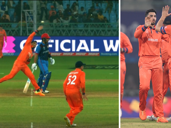 explained-why-saqib-zulfiqar-was-rightly-no-balled-whether-or-not-he-released-before-his-front-foot-landed.Click to read full article.