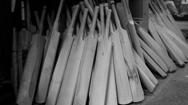 salix-cricket-story.Click to read full article.