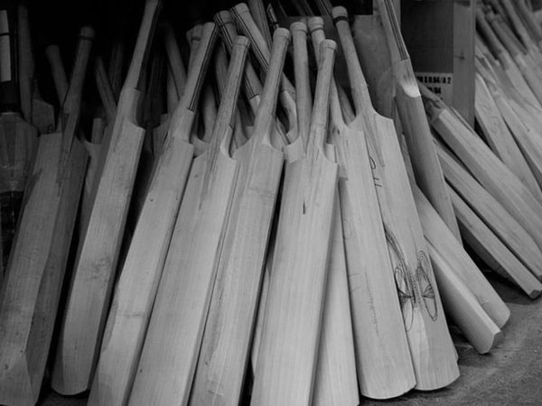 salix-cricket-story.Click to read full article.