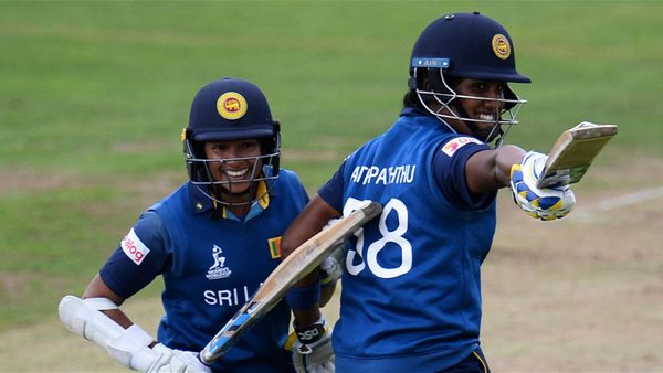 2017-review-underdog-bites.Click to read full article.