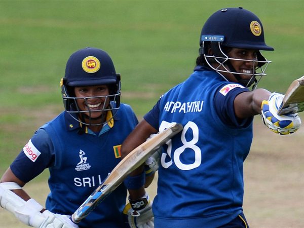 2017-review-underdog-bites.Click to read full article.