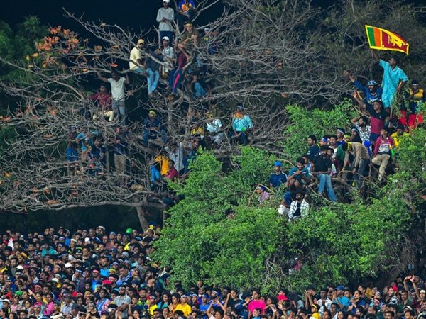 the-botanical-cricket-quiz-which-international-venue-has-a-mango-tree-inside-the-boundary.Click to read full article.