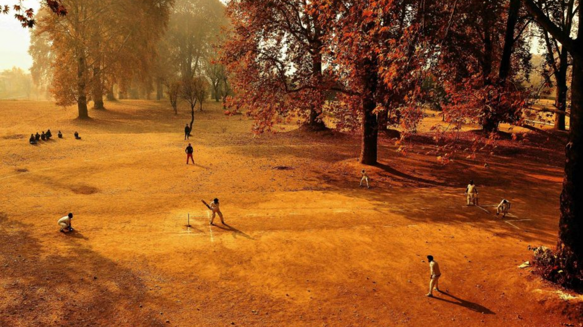 2016 Wisden Photograph of the Year