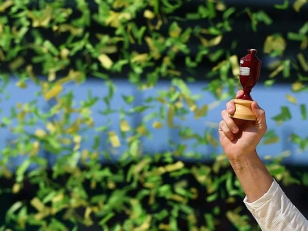 quiz-every-australian-to-win-a-home-mens-ashes-test-this-century.Click to read full article.