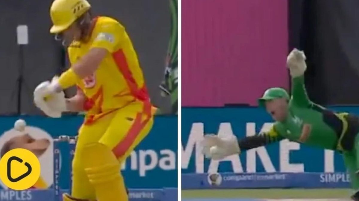 Joe Root falls to screamer off Jofra Archer
