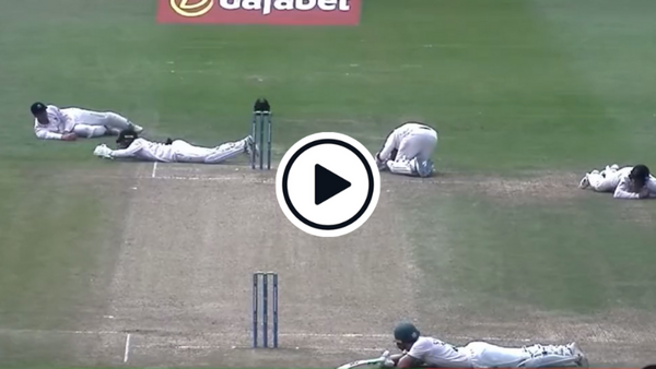 watch-bees-stop-play-leicestershire-and-sussex-forced-to-duck-for-cover-in-county-championship-clash.Click to read full article.