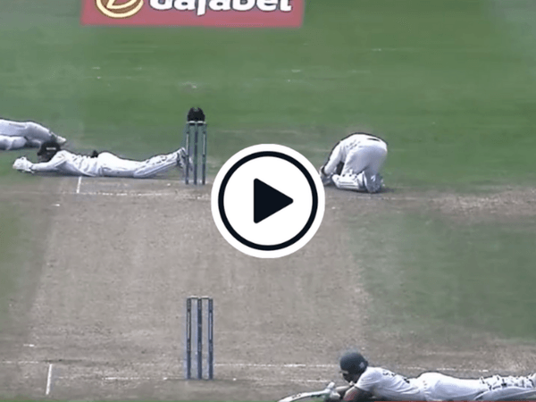 watch-bees-stop-play-leicestershire-and-sussex-forced-to-duck-for-cover-in-county-championship-clash.Click to read full article.