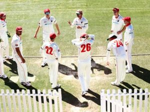 sheffield-shield-2020-21-south-australia-team-preview-fixtures-squad-list.Click to read full article.