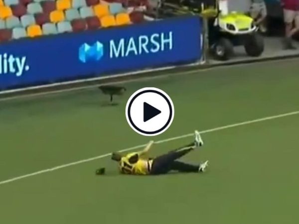 watch-cameron-green-pulls-off-momentum-defying-catch-near-the-boundary.Click to read full article.