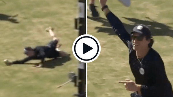 watch-thats-a-screamer-european-cricket-league-founder-takes-outrageous-one-handed-diving-crowd-catch.Click to read full article.