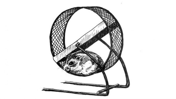 the-club-debate-club-crickets-unsolvable-disputes-how-many-do-you-recognise.Click to read full article.