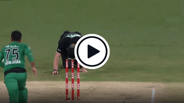watch-bbl-umpire-smashed-in-groin-by-ferocious-straight-drive.Click to read full article.