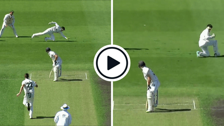 watch-tim-paine-wrong-footed-diving-blinder-sheffield-shield.Click to read full article.