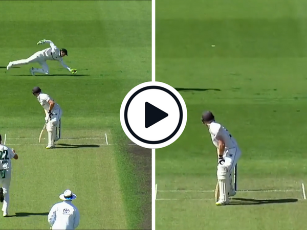 watch-tim-paine-wrong-footed-diving-blinder-sheffield-shield.Click to read full article.