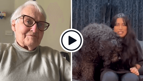 watch-new-zealand-cricket-family-announces-world-cup-squad-heartwarming-video.Click to read full article.